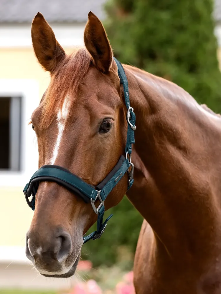 Riimu Soft Touch Waldhausen