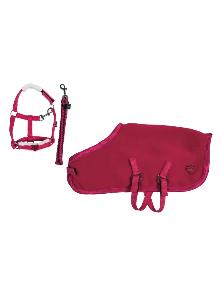 Paketti Starter Cuddle Pony HKM