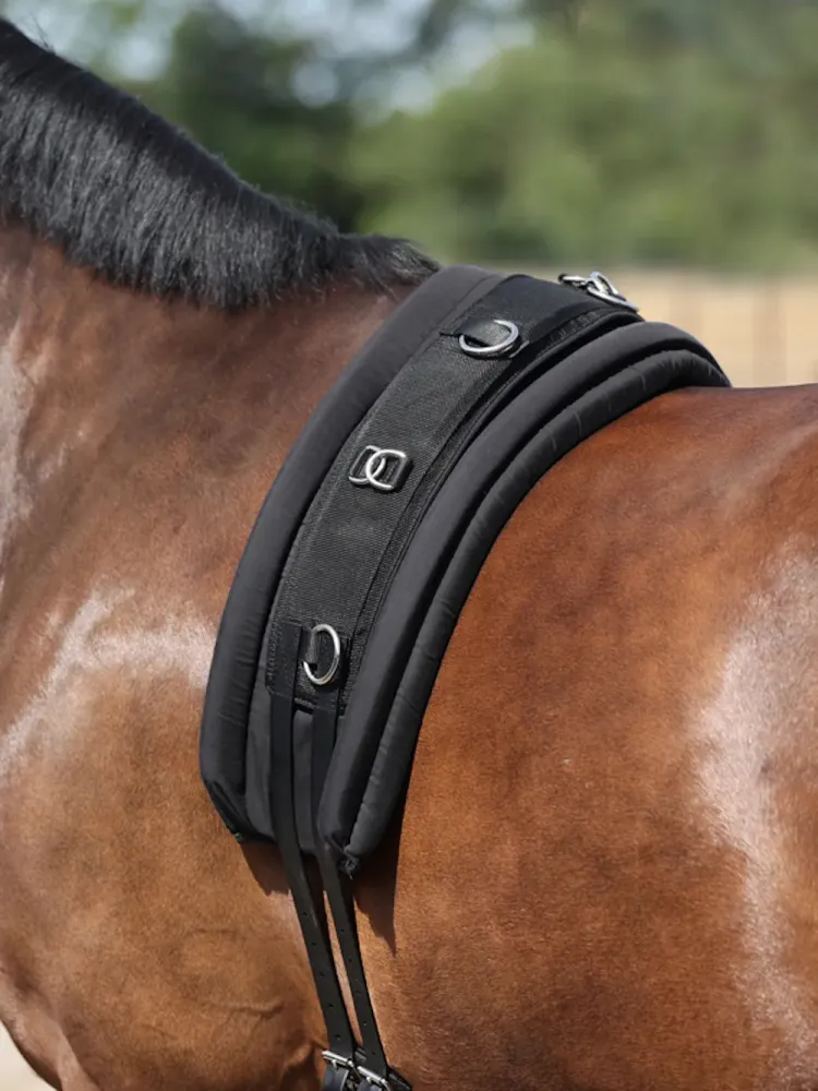 Silan pehmuste Kavalkade