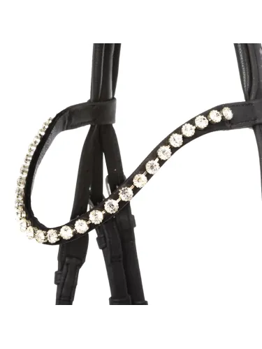 Suitset Cortica Veg Kavalkade