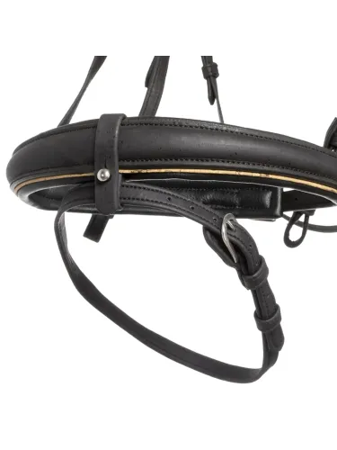 Suitset Cortica Veg Kavalkade