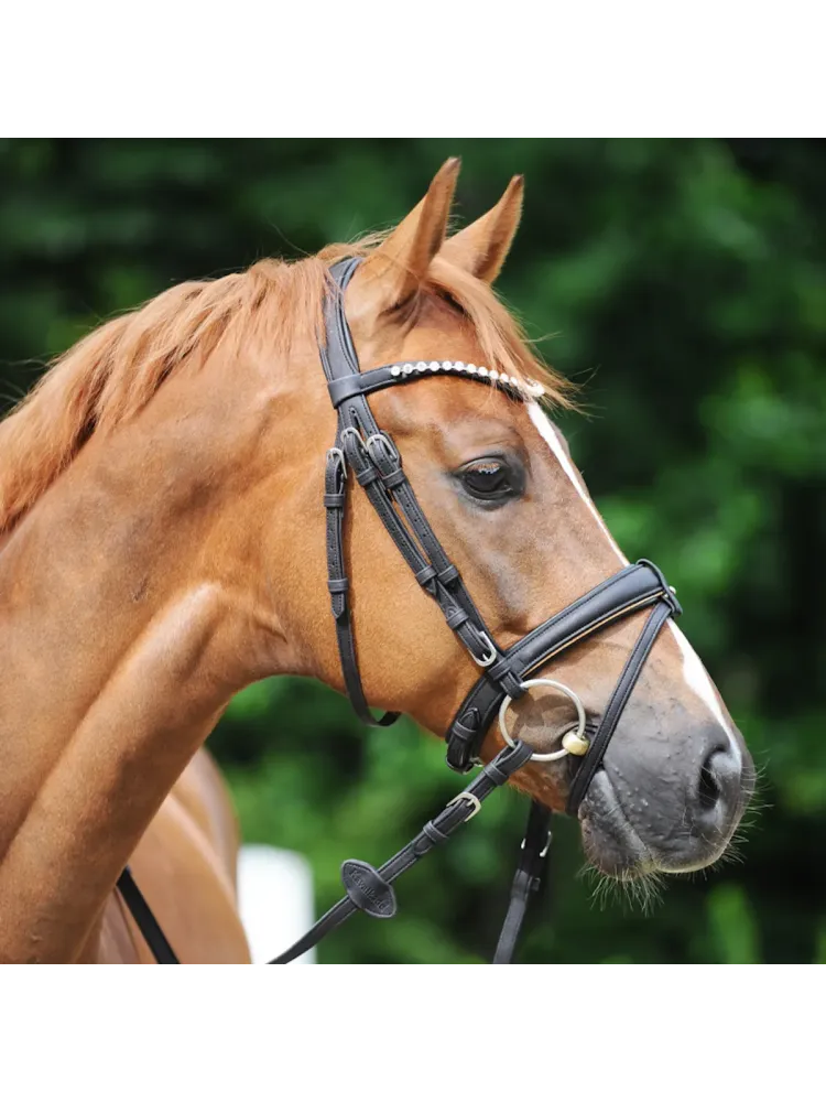 Suitset Cortica Veg Kavalkade