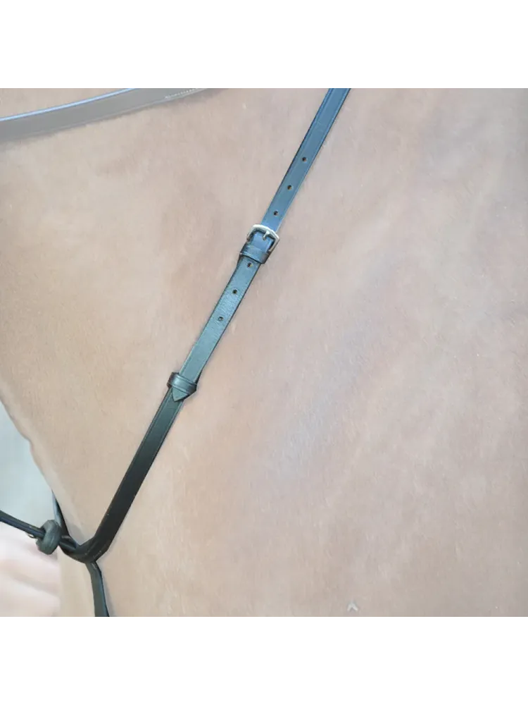 Martingaali Ecoline Kavalkade