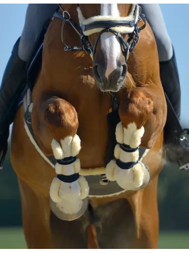 Suojat Compete Faux Fur Kavalkade