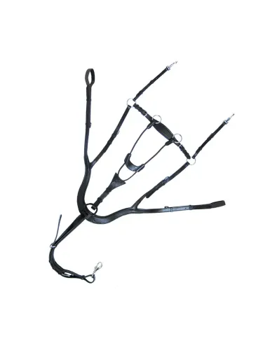 Martingaali rintaremmillä Caya 5 Kavalkade