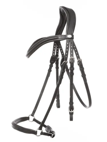 Suitset Everana Hannover Kavalkade