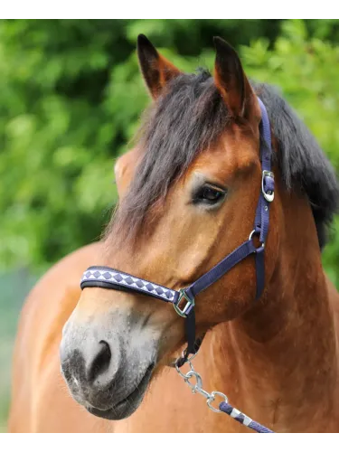 Riimu Draft Horse Classic Kavalkade