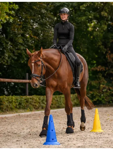 Kartiot 8 kpl Waldhausen