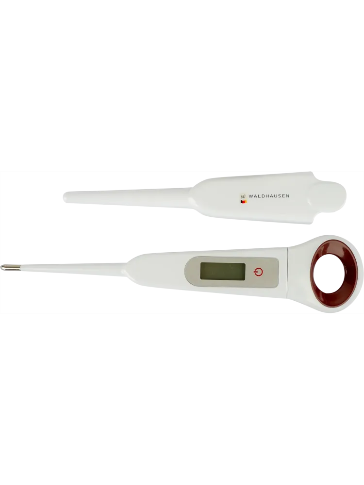 Digitaalinen lämpömittari Waldhausen
