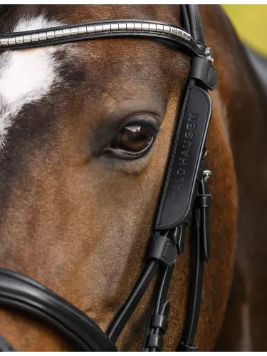 Blinkkerit Waldhausen