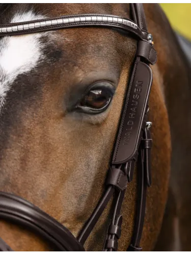 Blinkkerit Waldhausen