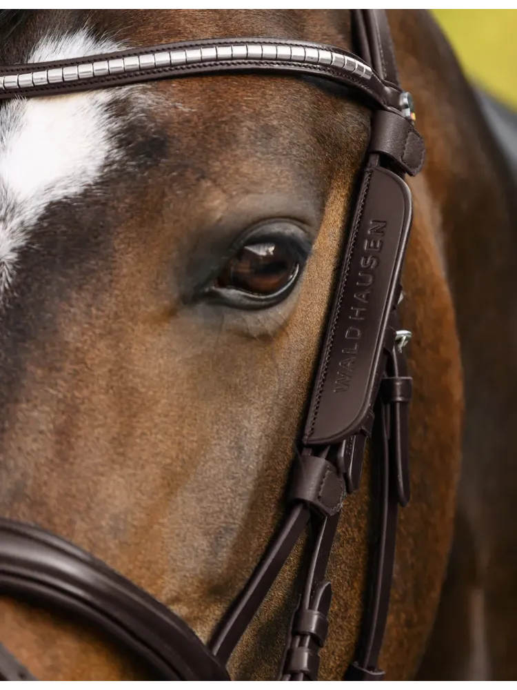 Blinkkerit Waldhausen