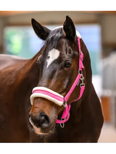 Riimu Elegant Waldhausen