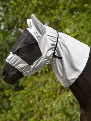 Ekseemanaamio Waldhausen