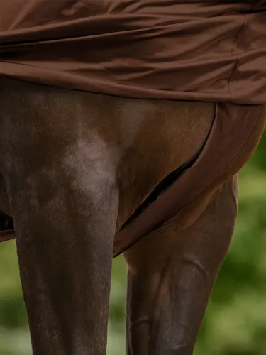 Ekseemaloimi Basic Waldhausen