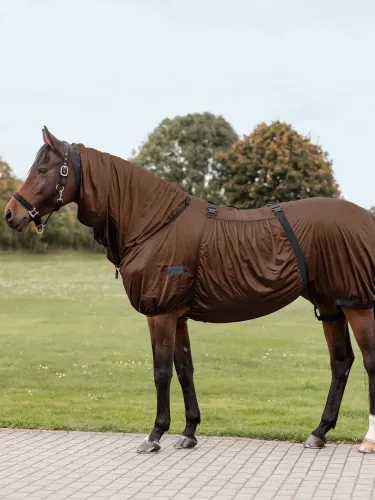 Ekseemaloimi Basic Waldhausen