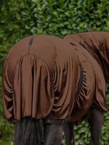 Ekseemaloimi Basic Waldhausen