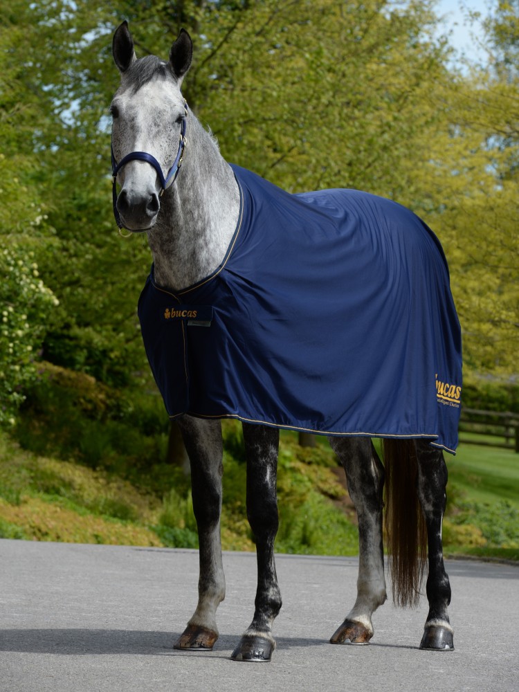 Coolertekk Bucas Prize Cooler
