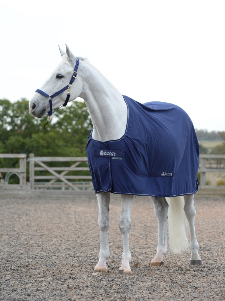 Coolertekk Bucas Power Cooler