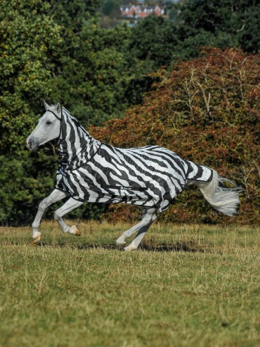 Putukatekk Bucas Freedom Fly Sheet Zebra