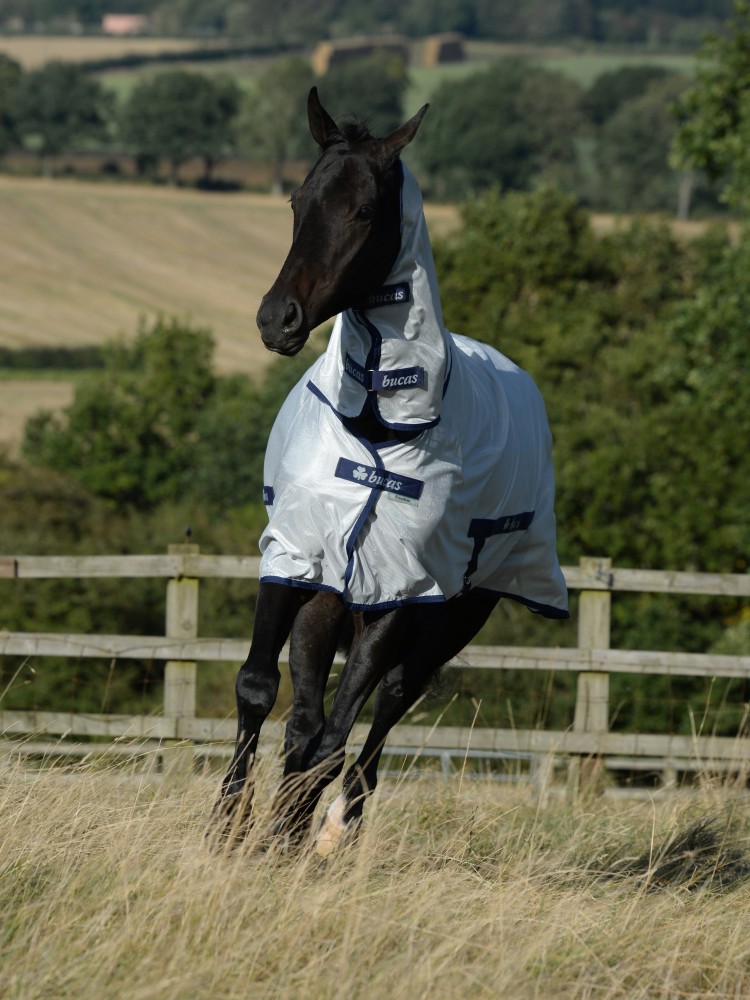 Hevosen hyönteisloimi Bucas Freedom Fly Sheet