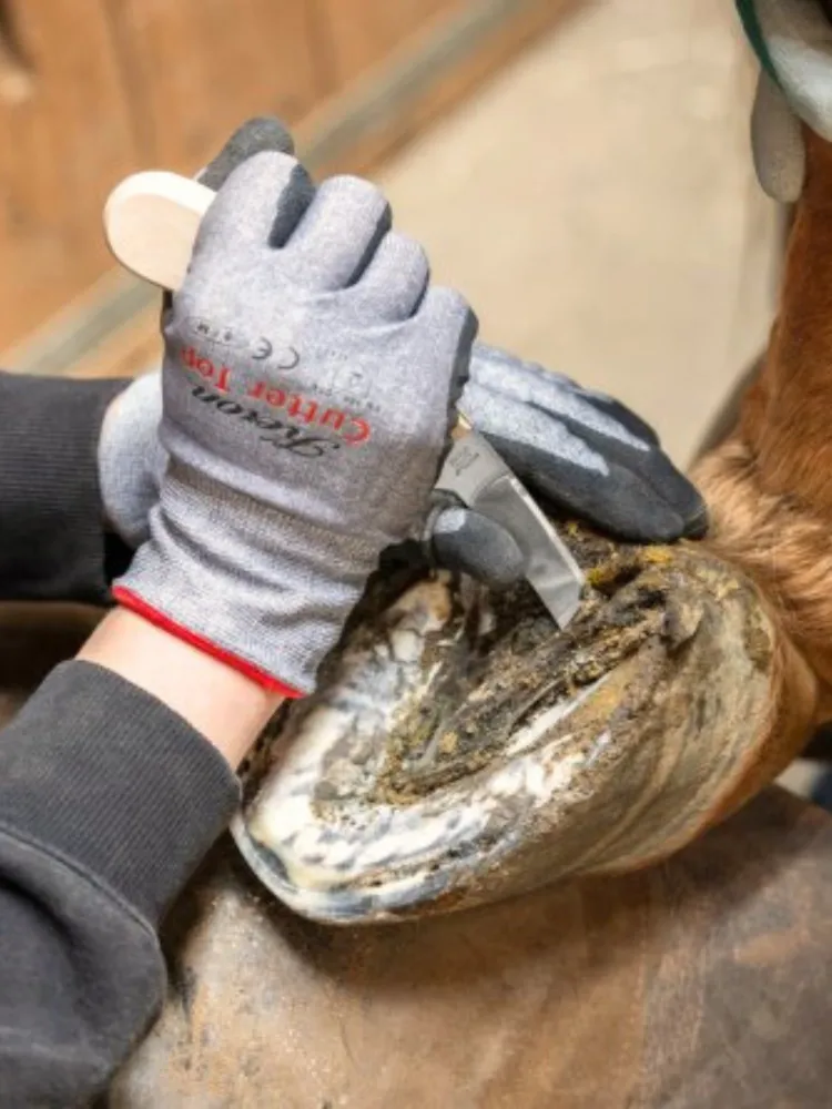 Kaksipuolinen sorkkaveitsi Aesculap 16x38/70mm RH