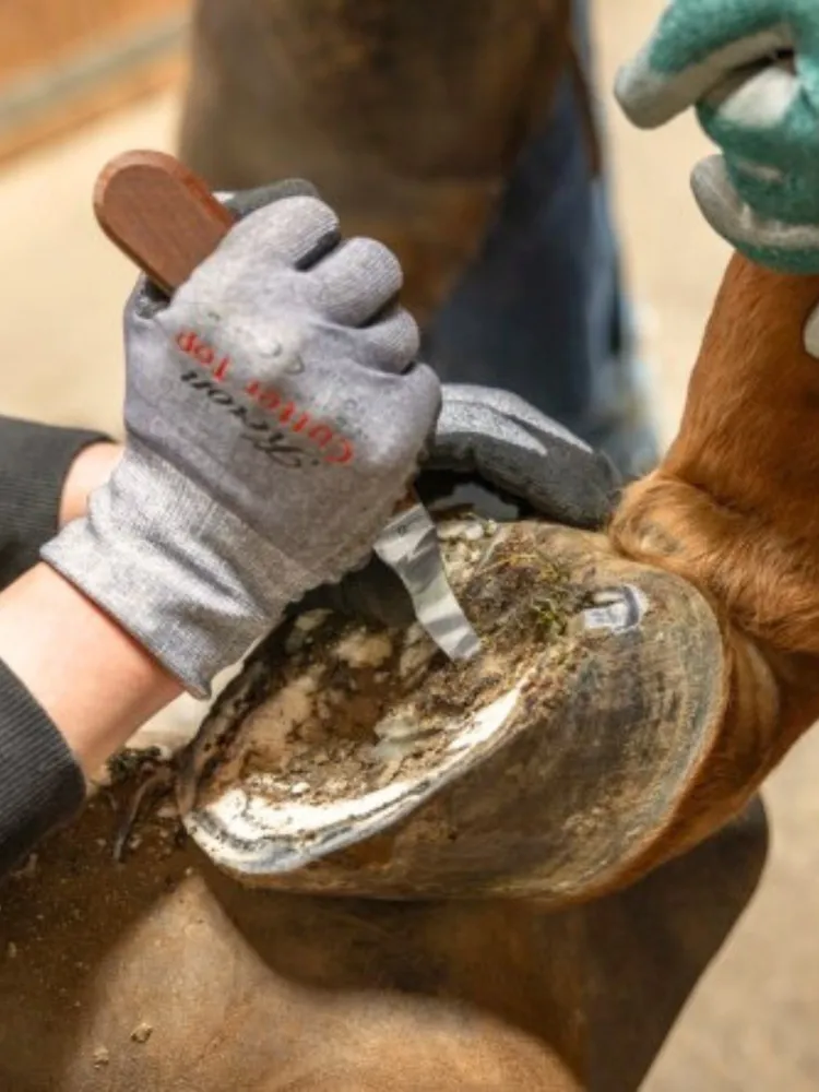 Sorkkaveitsi ProfiCurv LH Kerbl