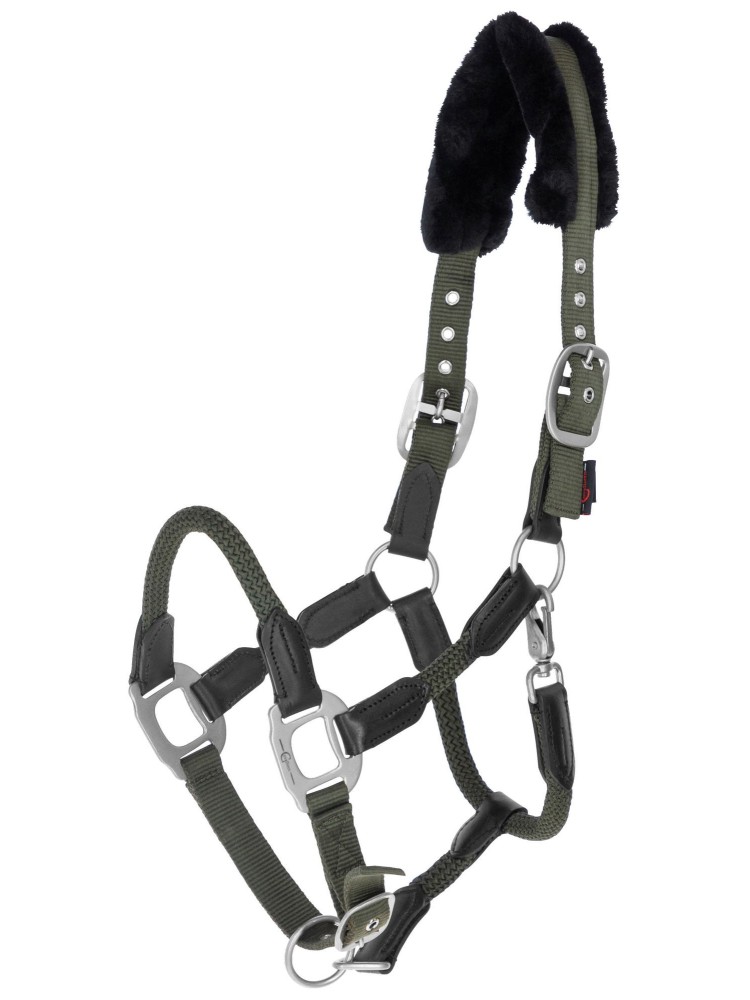 Päitsed Cordano
