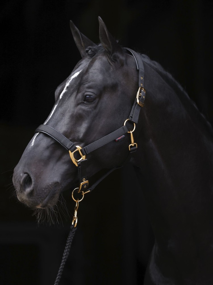 Päitsed TopLine