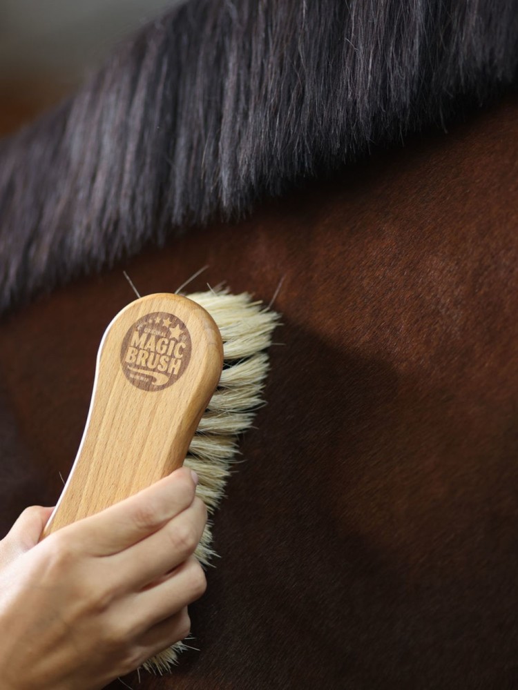 Kombineeritud hobusehari MagicBrush