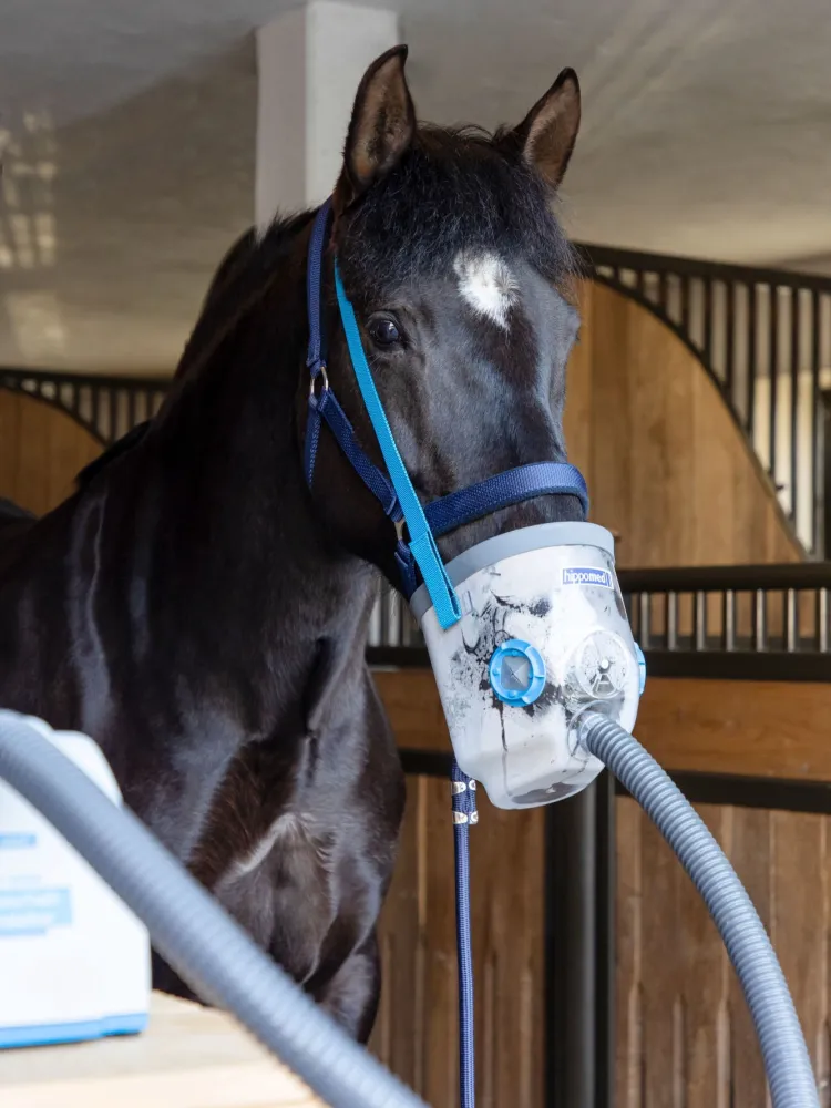 Inhalaator Hippomed AirOne