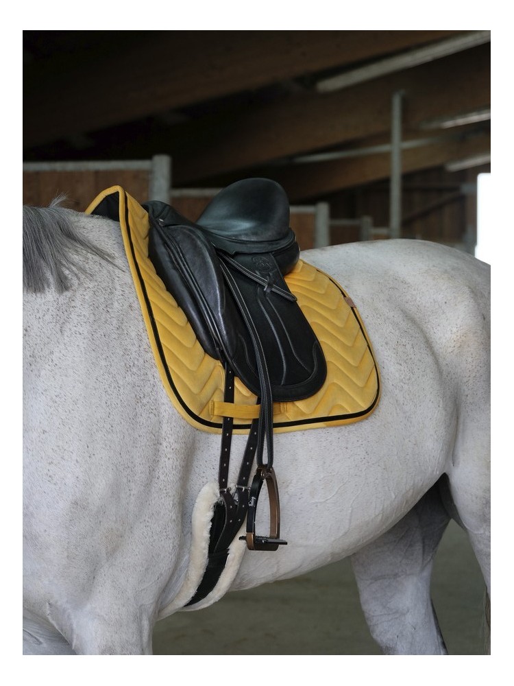 Koolisõiduvaltrap Glossy Equitheme