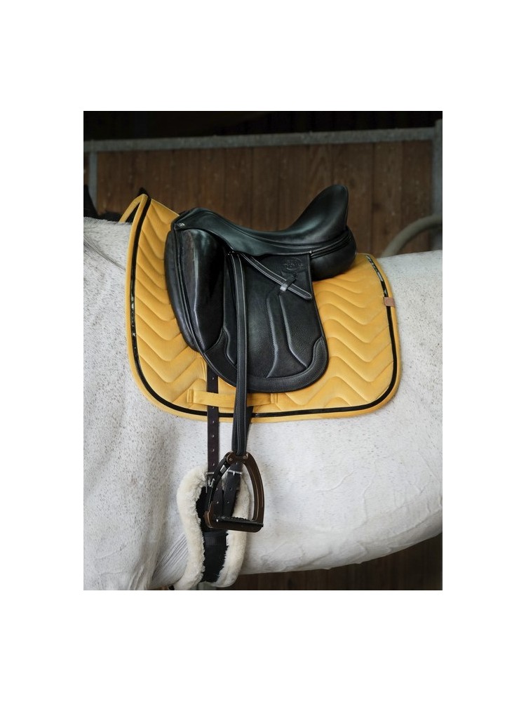 Koolisõiduvaltrap Glossy Equitheme
