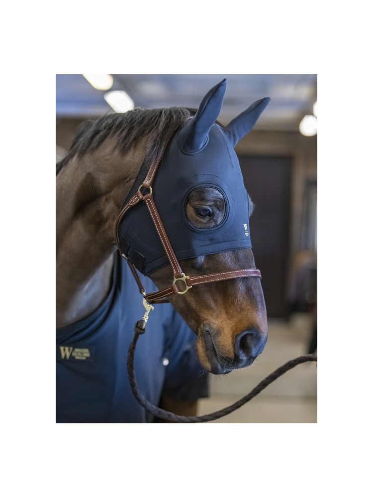 Kõrvadega mask Healing Titanium Wahlstén