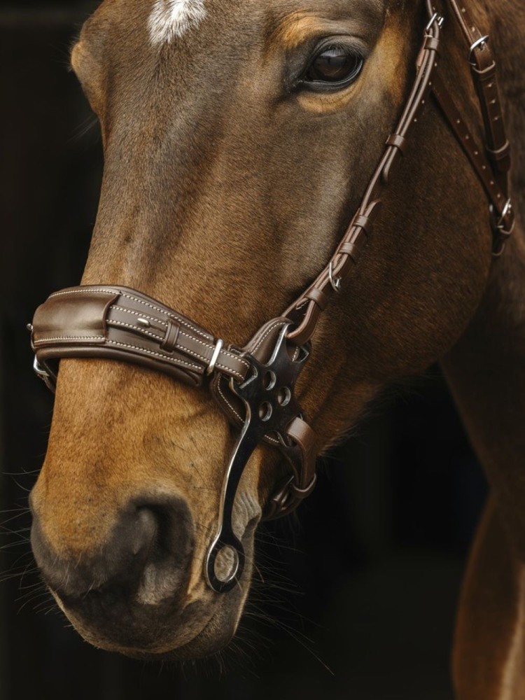 Hackamore valjad Norton Pro