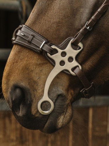 Hackamore valjad Norton Pro