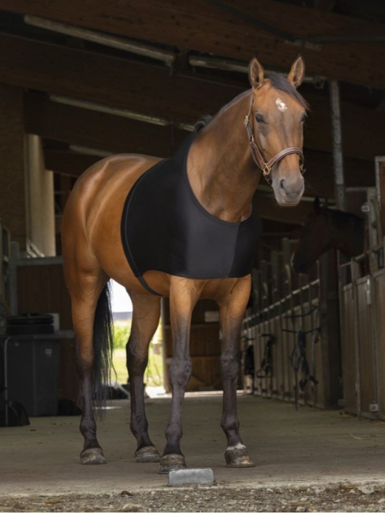 Õlakaitse Equitheme