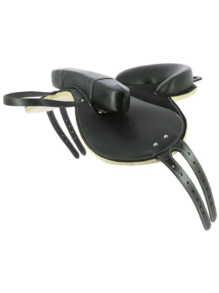 Ratsapadi Luxe Pony