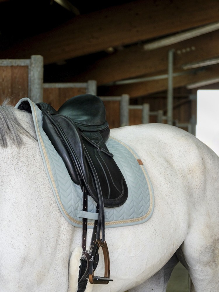 Koolisõidu valtrap Softy Equitheme