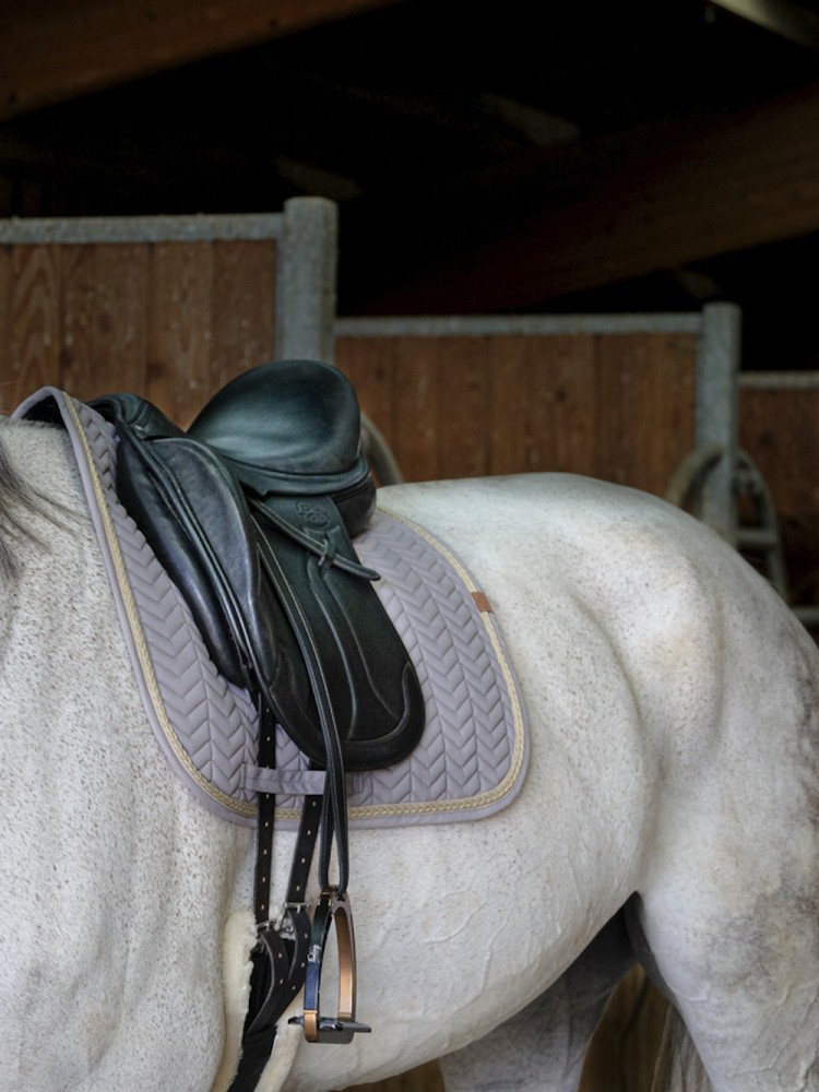Koolisõidu valtrap Softy Equitheme