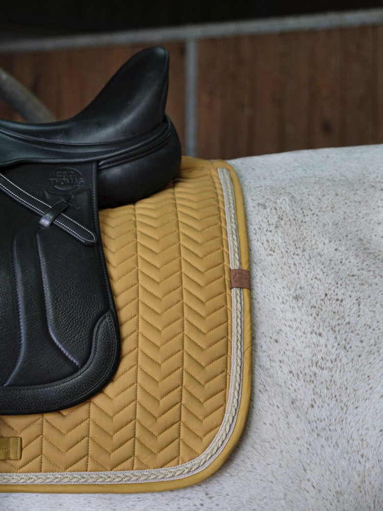 Koolisõidu valtrap Softy Equitheme