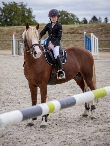 Võistluspintsak Soft Classic Equitheme laste