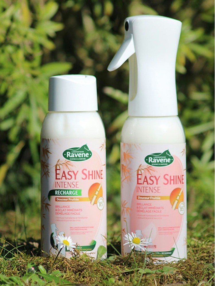 Täitepudel Easy Shine Intense Ravene 500ml