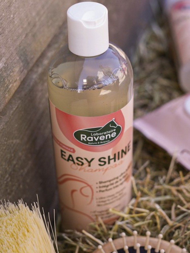 Šampoon Easy Shine Ravene 500ml