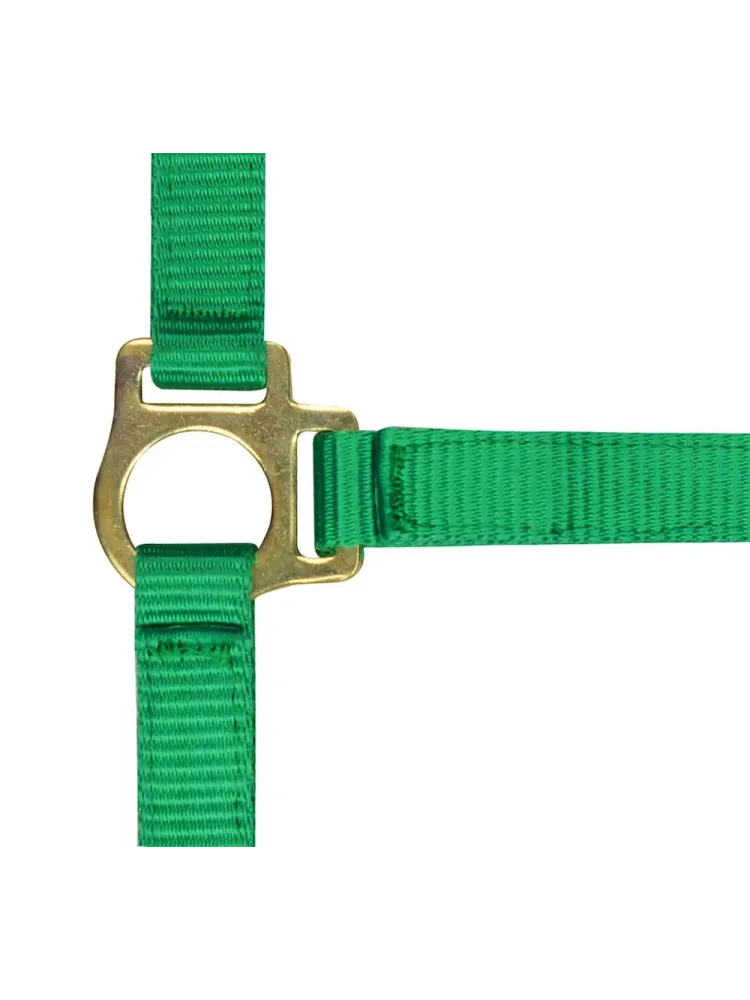 Varsapäitsed nööriga Norton